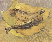 Vincent Van Gogh Crab on Its Back (nn04) oil